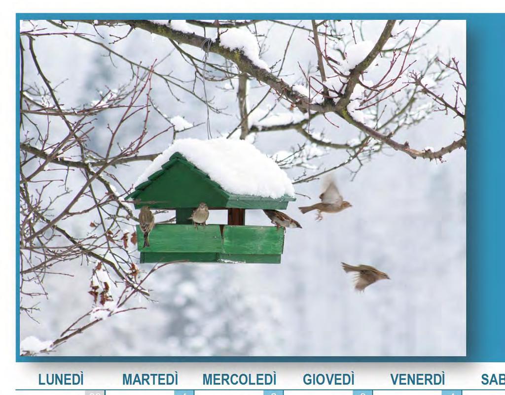 dicembre Non esistono buoni amici o cattivi amici, esistono solo amici, persone che hanno costruito la loro casa nel tuo cuore.