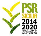 Visto il deliberato dell Assemblea soci del 23/11/18. Visto il disposto del comma 1 dell'art. 6, L.R. 11/08/2016, n.17. Visto il disposto del comma 2 dell art. 6, L.R. 11/08/2016, n.17 circa le modalità di estrazione a sorte.