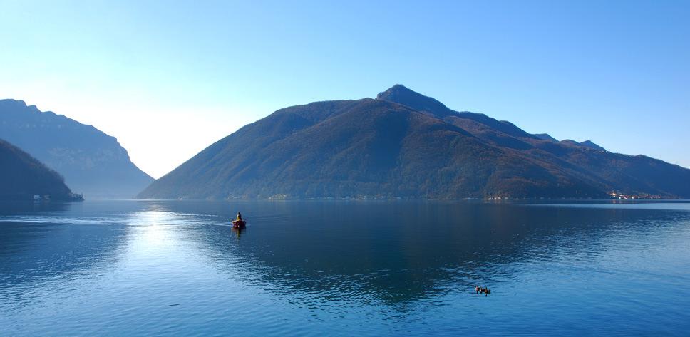 Fontana-Lupi.