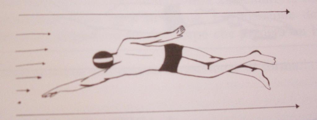 La posizione del corpo 1.