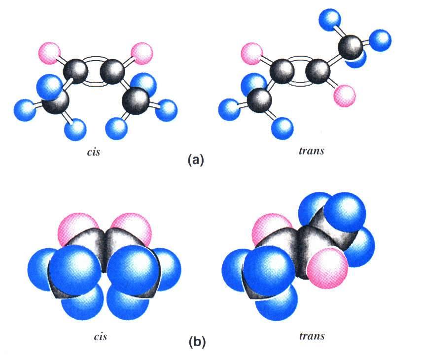 Alcheni: isomeria cis/trans Attorno agli atomi di C uniti mediante il doppio legame la rotazione è impedita.