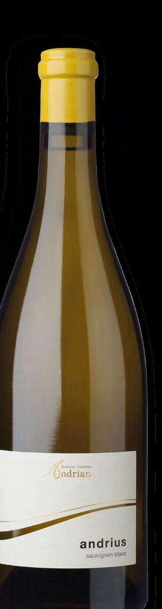 Le Selezioni andrius alto adige sauvignon 2016 DOC Annata 2016 Sauvignon Zona di prod. Alto Adige 260-380 m 65 Q.