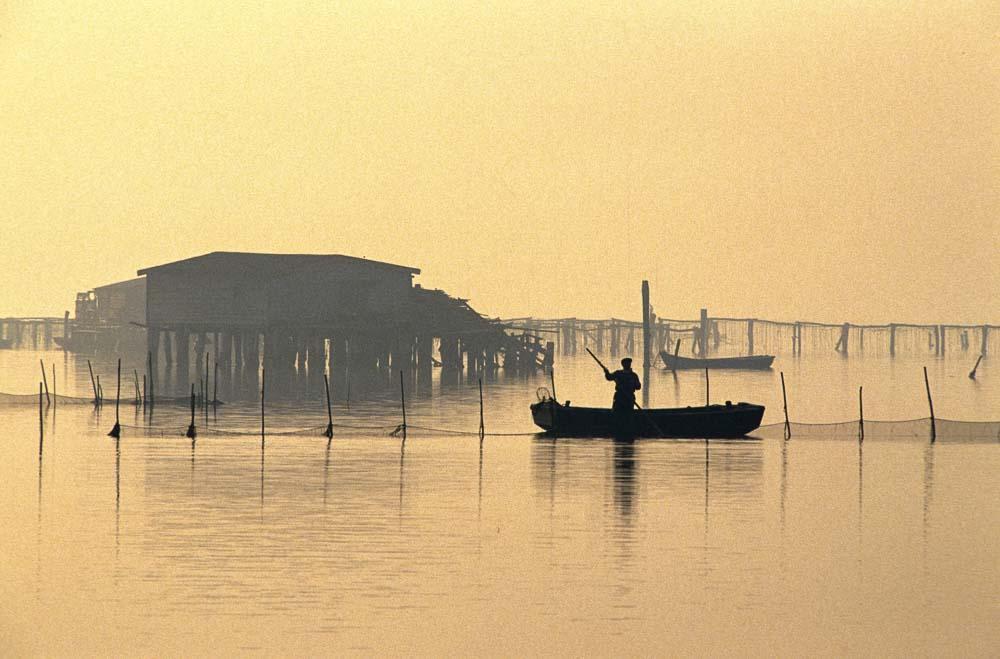 Tendenze turistiche coerenti con le vocazioni del Po Desiderio di conoscere luoghi nuovi o poco noti, anche per sfuggire a mete sovraffollate (overtourism): i territori lungo il Po sono sicuramente