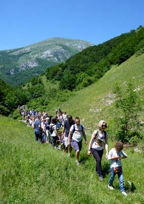 Si parte dalla Val di Ranco inoltrandosi dentro il grande e spettacolare bosco della Madre dei Faggi, che ospita esemplari di faggio centenari, fino a raggiungere la sorgente dell Acqua Fredda, da