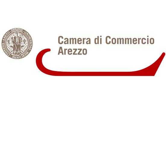 Camera di Commercio Industria Artigianato e Agricoltura di AREZZO T & T TECNOLO