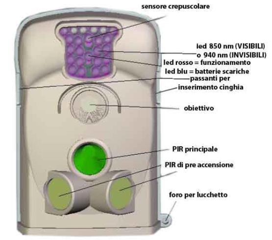 Come si studia il cinghiale: il fototrappolaggio Le fototrappole sono macchine fotografiche che scattano in assenza di operatore, grazie a sensori PIR (passive infra