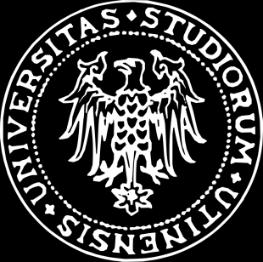 UNIVERSITÀ DEGLI STUDI DI UDINE Dipartimento Politecnico di Ingegneria e Architettura Corso di Laurea Magistrale in Ingegneria Gestionale Tesi di Laurea Magistrale La gestione per