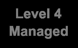 I 5 livelli del CMM Level 5