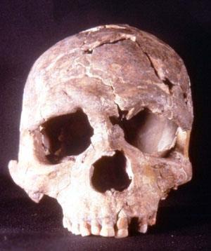 Duplice sepoltura di una ragazza e di un bambino 40-35 mila anni fa Nei crani di questi Sapiens rinvenuti in Africa orientale e meridionale e Medio Oriente si ritrovano ancora tracce arcaiche.