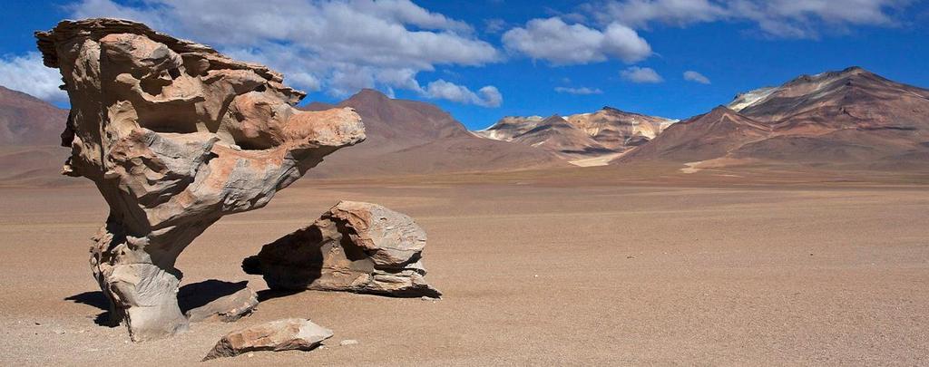 BOLIVIA - CILE 2019 - novità GrandiViaggiFotografici - Altipiano boliviano e deserto d Atacama Dal 7 al 17 Febbraio 2019 L' altiplano boliviano e il deserto di Atacama cileno sono fra i paesaggi più