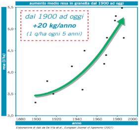 Incremento resa in granella (%) Il contributo del miglioramento genetico Risultati