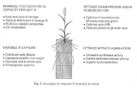 10,0 8,0 6,0 4,0 2,0 0,0 1995 1997 1999 2001 2003 2005 2007 Anno Source: elaboration on