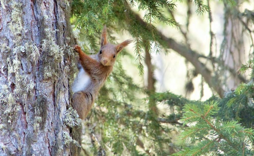 CALENDARIO ESTATE 2017 dal 10 al 16 agosto natura cultura