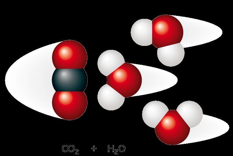 9.16 Teoria degli urti e fattore sterico