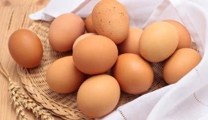 il freddo Ricordate: che le uova non vanno conservate in