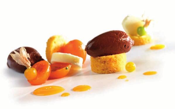 GELATERIA Callebaut vi offre una selezione di prodotti ideali per l impiego nella preparazione dei gelati: cacao in polvere, cioccolato puro, prodotti per variegatura e stracciatella e innovativi