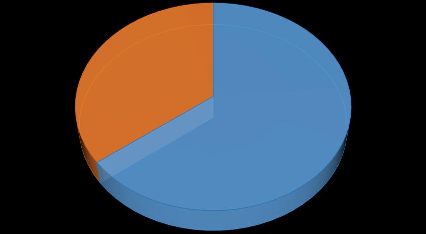 Organizzazione oppure della Direzione generale.