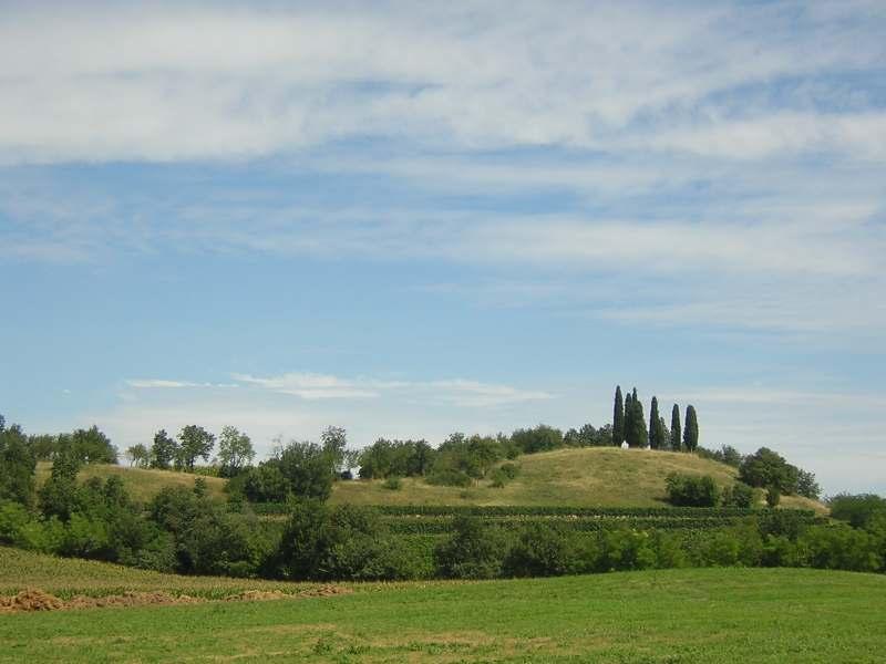 I prati aridi dell Alto Mantovano sono formazioni erbacee che occupano i versanti più assolati delle colline moreniche, caratterizzate da una ricca vegetazione erbacea in cui prevalgono piante a