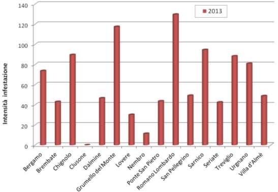 Grafico 1 Estensione infestazione 2013 per Comune.
