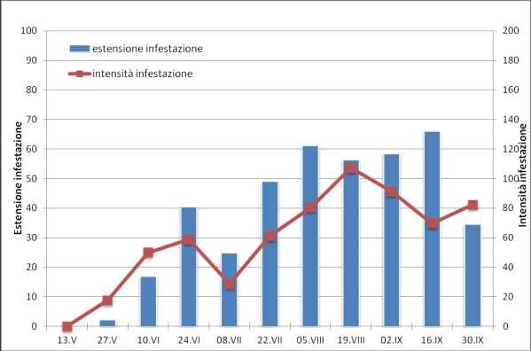 Grafico 3 Andamento infestazione 2013.