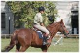 La preparazione scolastica accompagnata ad attività sportive con impianti d avanguardia, rappresentano un armonico e valido piano di formazione integrata a cui un giovane oggi aspira ma non sempre