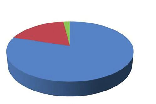 V. Salini et al. Harris Hip Score 100 80 60 40 max. punteggio medio min. 20 0 Doppia mobilità Endoprotesi BA Figura 3. Harris Hip Score: risultati a 12 mesi.