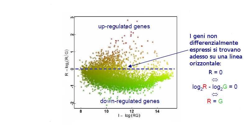 Scatter plot: I vs R Dati osservati