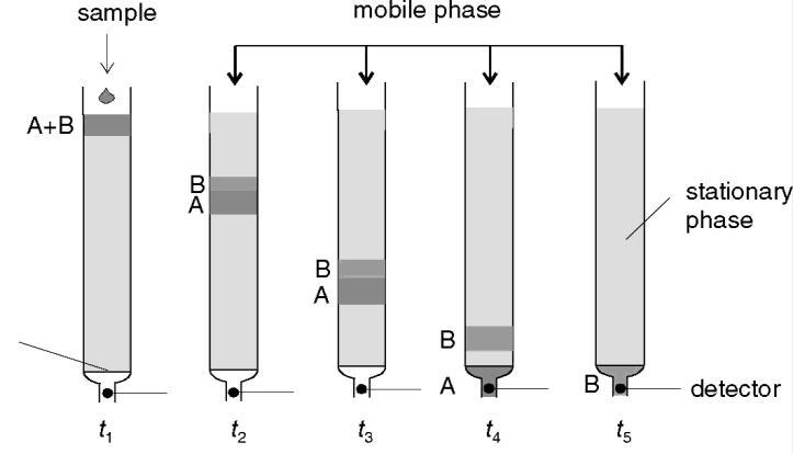 Se si seguono nel tempo le zone (bande) occupate dalle sostanze lungo la colonna si notano due effetti: a) la distanza tra le bande delle sostanze aumenta nel tempo (ovverocon conilil volumedi di