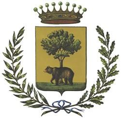 CITTA DI BIELLA (Provincia di Biella) Approvato con delibera del Consiglio Comunale n. 003 del 30.01.