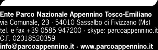 Si dà atto che non risultano presenti rappresentanti delle ditte, ne di altro spettatore. PREMESSO CHE con determina n. 175 del 07.