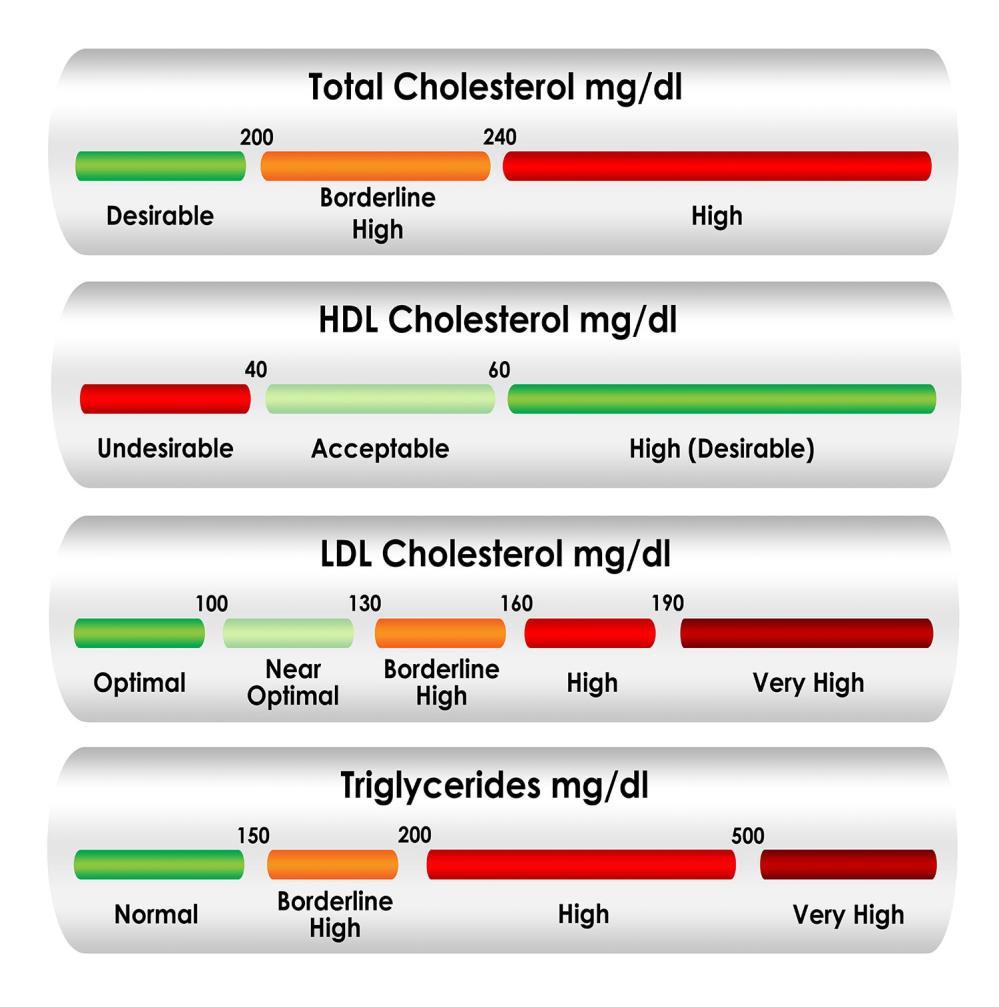 VALORI DESIDERABILI Colesterolo totale: al di sotto dei 190 mg/dl Colesterolo HDL: superiore a 40 mg/dl Colesterolo LDL: al di sotto di 130 mg/dl