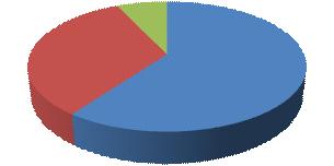 eccessivi 8% Sta crescendo velocemente 12% 4) Alla