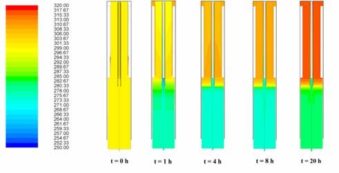 verticale della temperatura nella regione della pool (misurato & calcolato) Dominio geometrico 2D DHR FPS Il 94% del flusso totale di LBE imposto nella sezione di ingresso