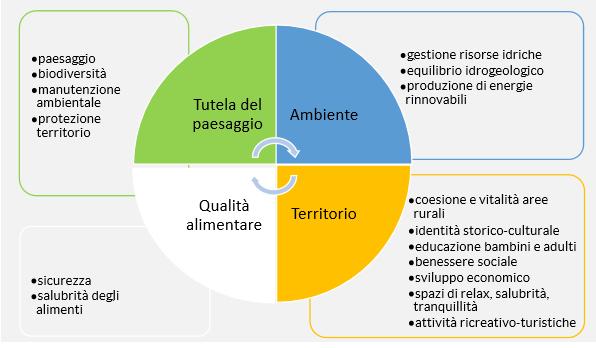 la produzione di energia, elettrica e termica, da fonti rinnovabili) può svolgere attività attinenti ad