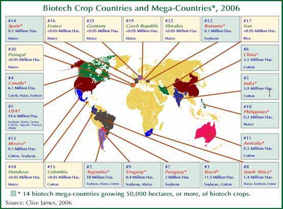Global status of commercialized BIotech/GM Crops: 2006 BRIEF 35 Clive James -