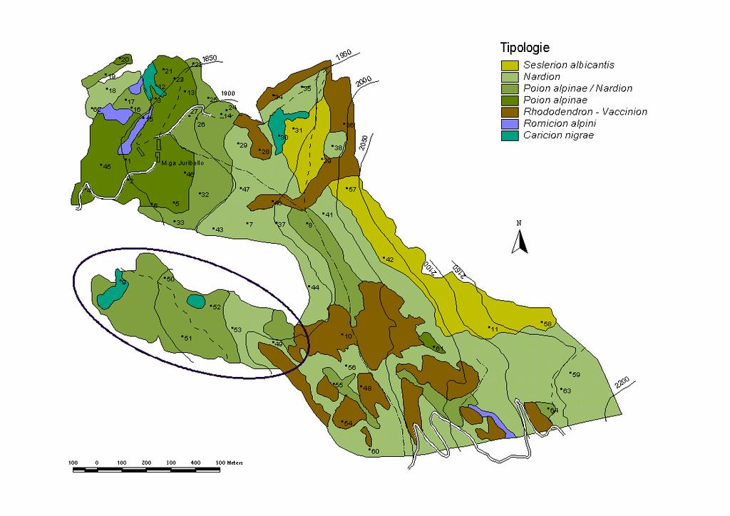 Tabella 5 Comportamento alimentare e ingestione nell ambito del gruppo a carico basso basso: Bassa Alta Tempo di pascolamento h/d 7.8 a 7.2 b Tempo di ruminazione h/d 7.4 a 6.