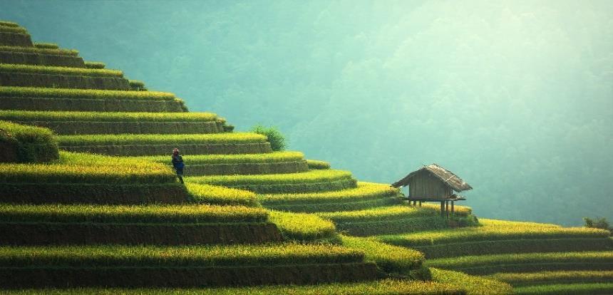 TOUR VIETNAM DAL 20 APRILE AL 3 MAGGIO 2019 PRENOTA ENTRO 9 FEBBRAIO: - 100 SCHEDA TECNICA: Durata Partecipanti 14 giorni / 11 notti Min 10 / max 14 Documenti Passaporto con validità residua di