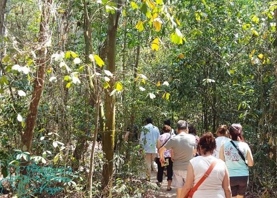 Arrivo e trasferimento a Cu Chi per la visita dei Tunnel situati a 50 km a nord ovest della città di Ho Chi Minh City.