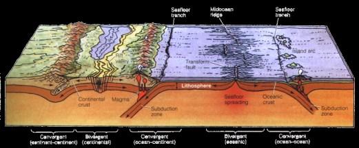 Geologia strutturale e Tettonica Geologia strutturale: studio delle rocce deformate dalla scala microscopica alla