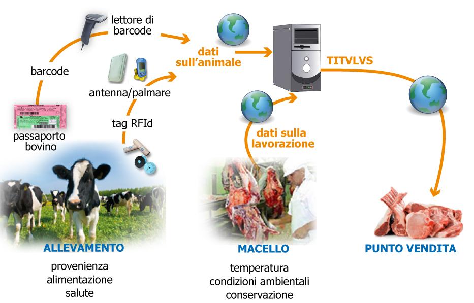 Tracciabilità