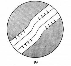 un monocristallo di rame Diagramma