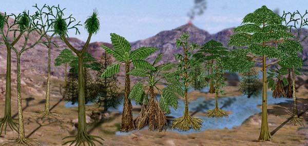 Le pteridofite Le pteridofite sono state le prime piante a ben adattarsi alla vita sulla
