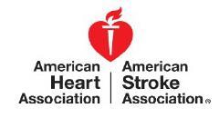 DEFINITION AND EVALUATION OF TRANSIENT ISCHEMIC ATTACK A Scientific Statement for Healthcare Professionals From the American Heart Association/American Stroke Association Stroke Council; Council on