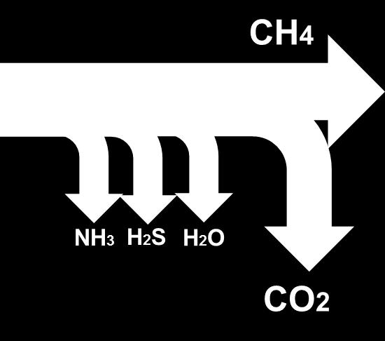 cosa fa Elemen& Biogas Biometano CH 4 50-70 % 90-99 % CO 2 30-45 % 1-5 % H 2 < 200 ppm < 500 ppm N 2 0-2 % 0-2 % O