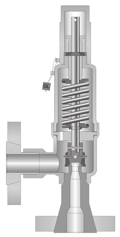 4624HDD - Costruzione in acciaio inox con corpo in uscita ricavato da barra Connessioni - filettate maschio/femmina: gas DIN ISO 228-1, standard - filettate maschio/femmina: NPT ANSI ASME B1.20.