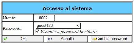 Inserimento della password La password può essere scritta sia con caratteri visibili che non visibili.