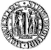 UNIVERSITA DEGLI STUDI DI PADOVA FACOLTA DI INGEGNERIA DIPARTIMENTO DEI PROCESSI CHIMICI DELL INGEGNERIA CORSO DI LAUREA IN INGEGNERIA DEI MATERIALI TESI DI LAUREA EFFETTO DELLA DEFORMAZIONE A