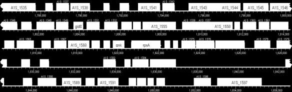 AUG e GUG (ATG e GTG nel DNA) è il codone di inizio per la sintesi proteica UAA (TAA), UAG (TAG) e UGA (TGA) sono i codoni di stop