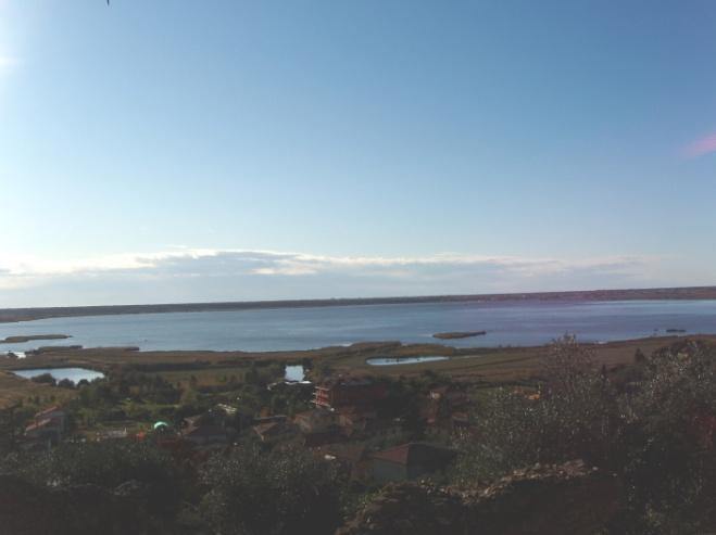 Anche il clima, per l occasione, è stato più che clemente: ci ha accompagnato un cielo azzurro ed una temperatura che ricordava più una giornata di piena primavera piuttosto che una di fine novembre.