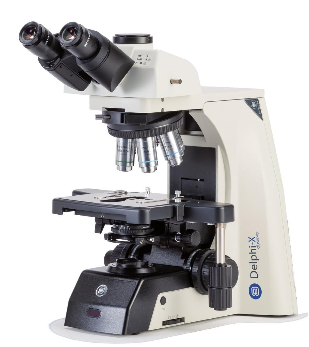 Delphi-X Observer IN EVIDENZA Microscopi per le Scienze della Vita avanzate Oculari DIN Campo super ampio SWF10x/25 mm, Ø30 mm EIS a super contrasto di Fase EIS a super contrasto Semi Apocromatici